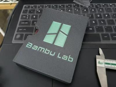 Passport holder