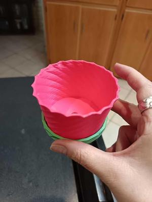 Plantar and Plate, small.