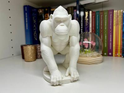 Orango-Monkey