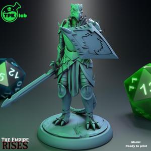 Dragonborn Soldier