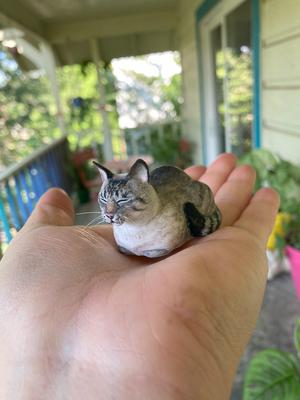 Cat Loaf (Eyes Closed)