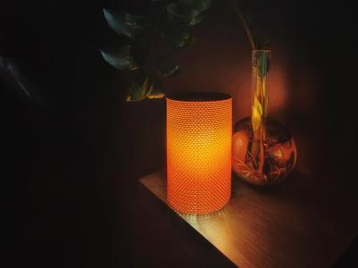 Mesh Lampshade