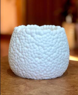 Styrofoam Planter