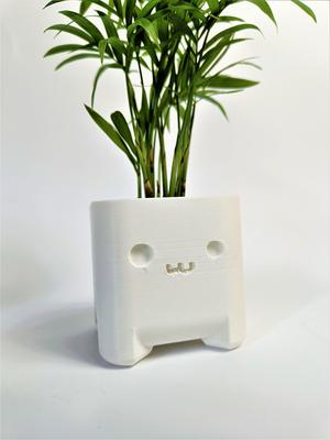 Cute Planter Timo