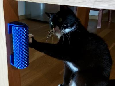 Cat Brush Roller & Treat Dispenser
