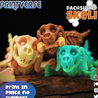 Flexy Skeleton Dachsund Print In Place No Supports