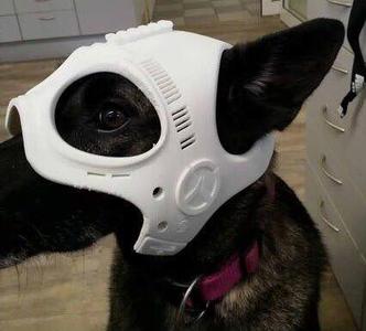 Dog Ranger Spy Helmet Stl mask File