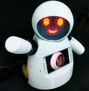 Joy Robot (Robô Da Alegria)