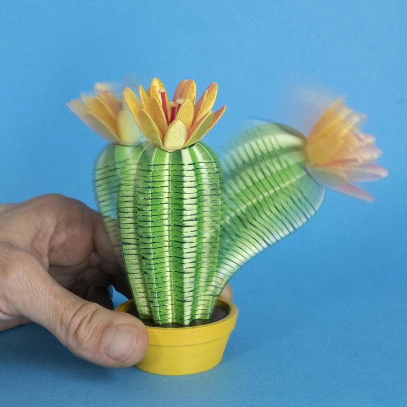 Springo Cactus Trichocereus