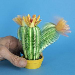 Springo Cactus Trichocereus