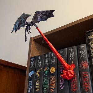 Flying Dragon Book Nook