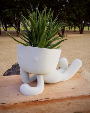 Milo Planter in Love 3D Print Stl File | Stl File For 3D Printers |Home Decor – Digital Download People , Succulent Robert Plant Zen Planter