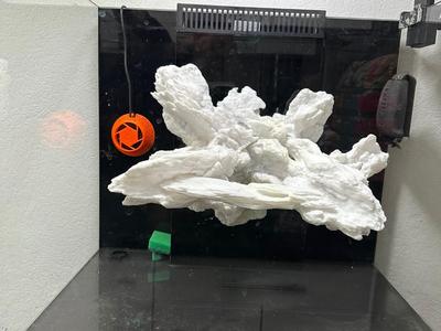 Flying Reef