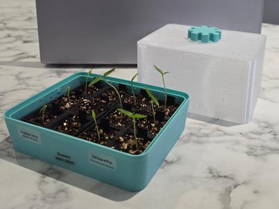 Mini Propagator for Growing Seedlings