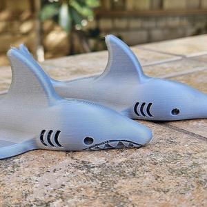 Shark