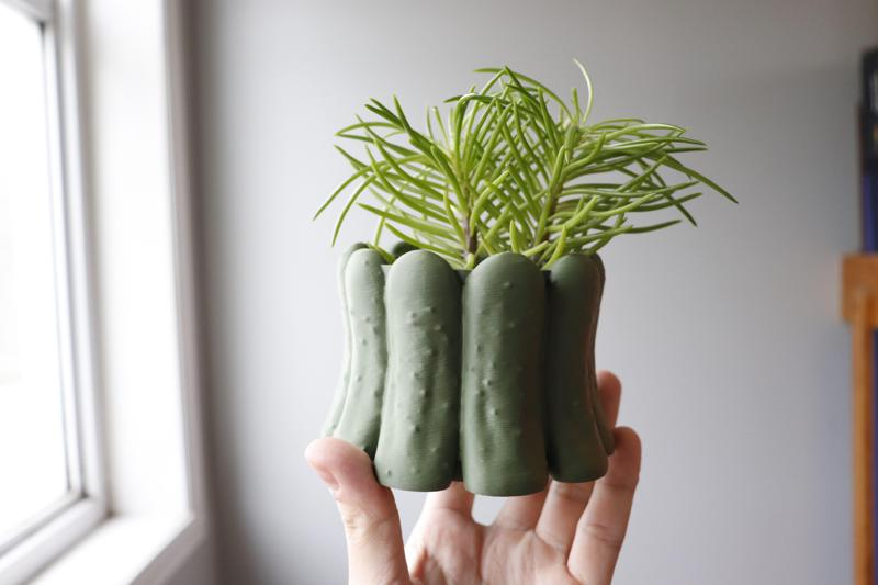 Pickle Jar Planter