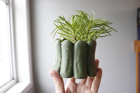Pickle Jar Planter