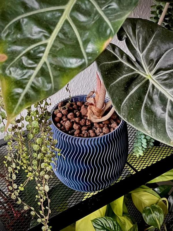 Geometric Planter 4