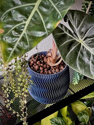 Geometric Planter 4