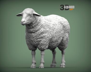 Sheep 3D print model