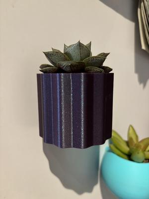Fridge magnetic planter for succelent plants – 3 NON COMMERCIAL