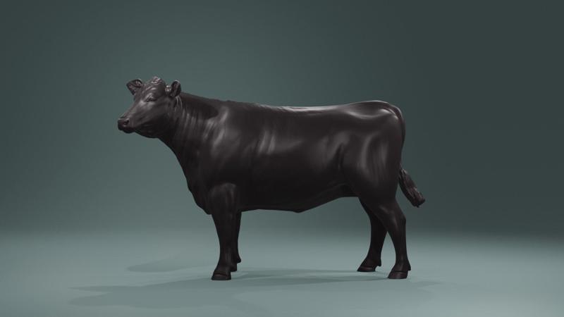 Young Cow Heifer model – Cattle for printing  high poly