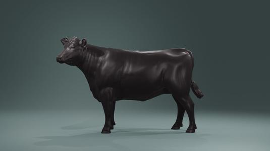 Young Cow Heifer model – Cattle for printing  high poly