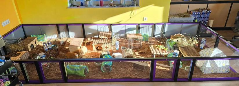 Gehege Käfig Meerschweinchen / Kaninchen (enclosure cage guinea pig / rabbit)