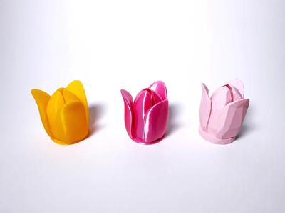 Tulip Flower + Low Poly Version