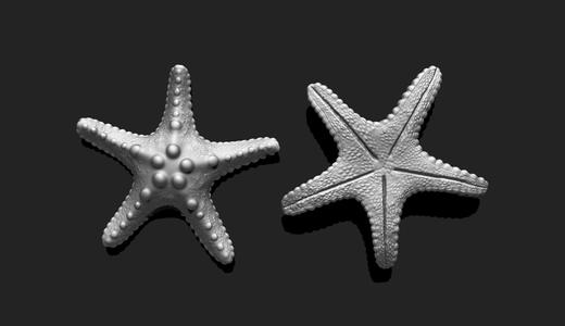 Starfish 2 – 3D Print – Aquarium