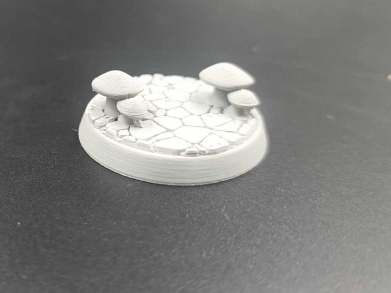 DnD Miniature Model Bases 32mm RPG – Mushrooms