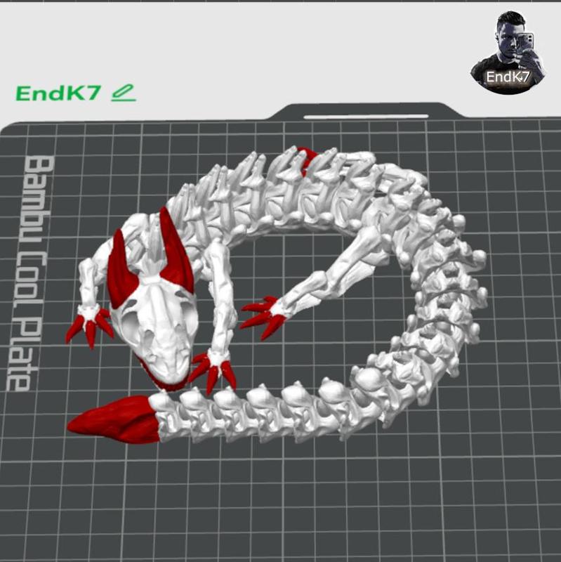 Skeleton Dragon - Articulated - Print in Place - No Supports - Flexi - Multicolor