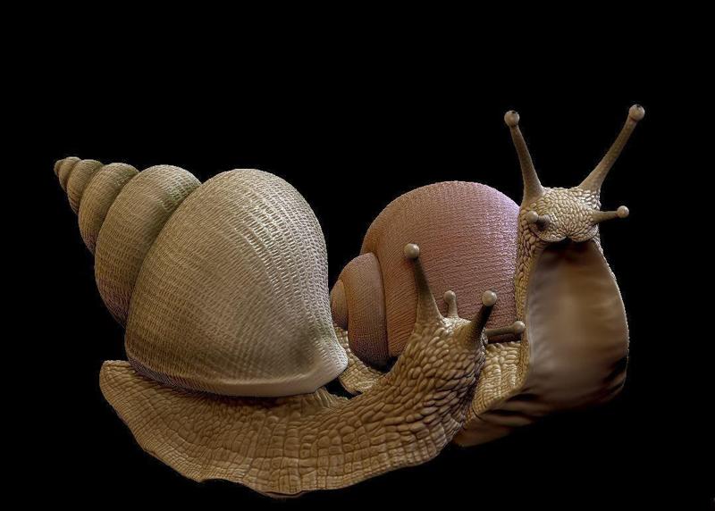 Snail set two snails