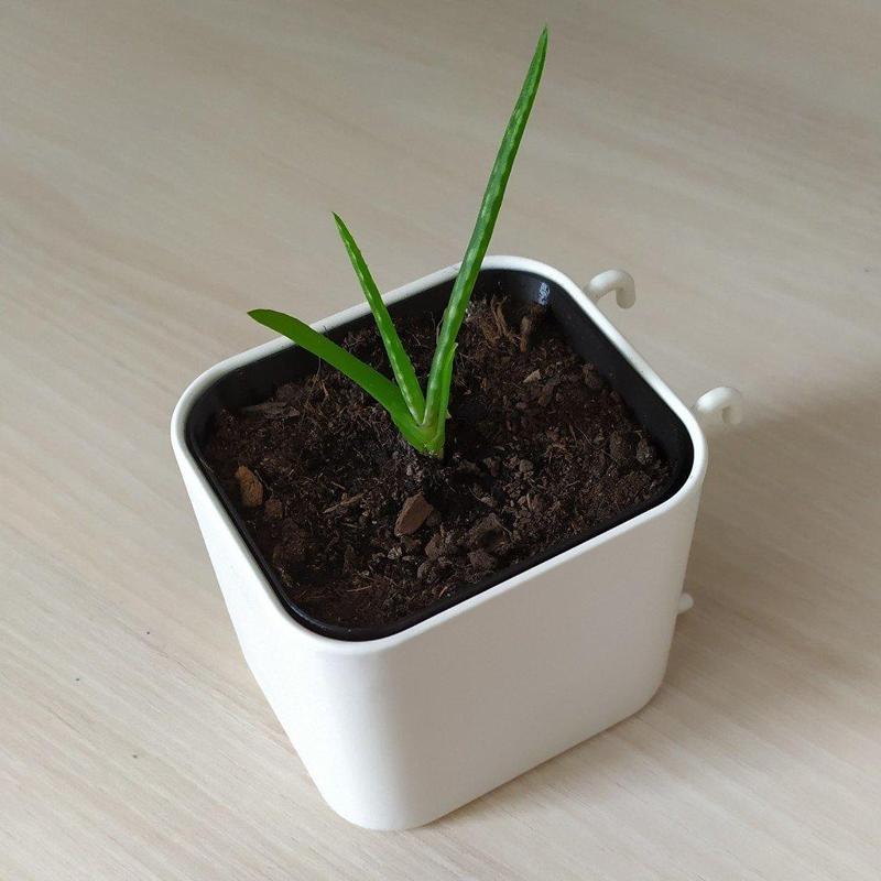 Ikea Skadis planter pot