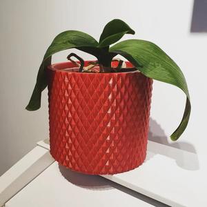 Vase Pot Planter Cachepot