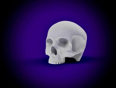 Human Skull – Jaw Delete