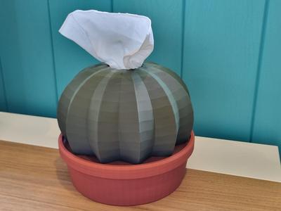 Cactus in a Pot – Tissue Box Cover