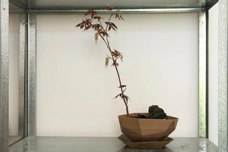 Planter #2