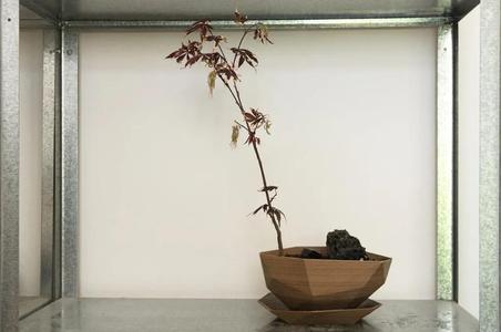 Planter #2