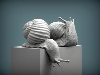 Snail two snails