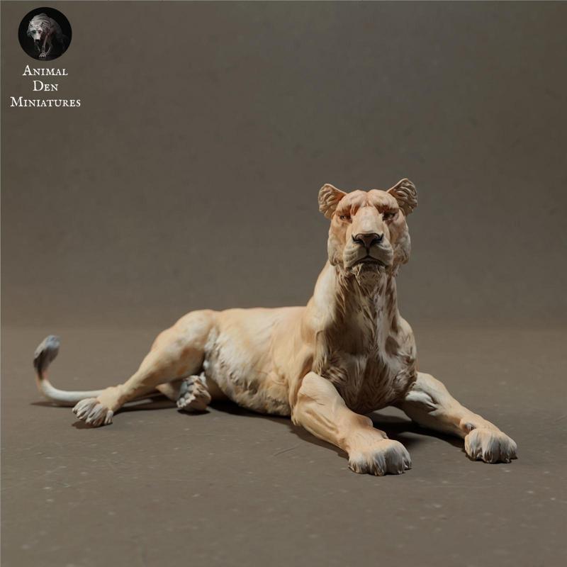Lioness Lying
