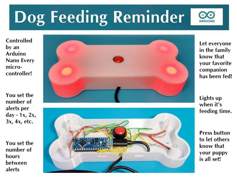 Dog Feeding Reminder