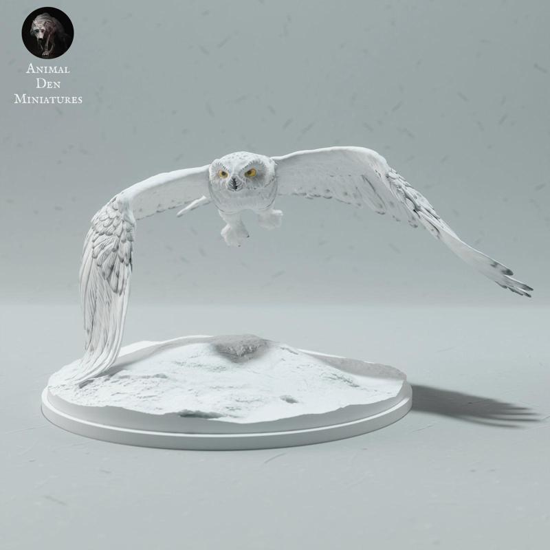 Snowy Owl