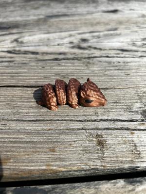 Armadillo Fidget