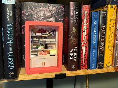 Compact Fidget Bookcase