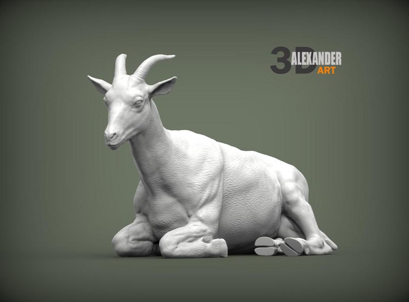 The goat lies