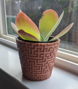 Maze planter
