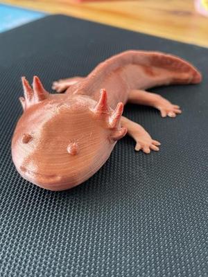 Axolotl
