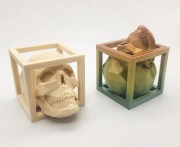 Low Poly Captured Skull – No Supports