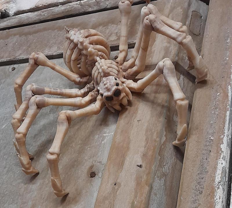 LEONARDZ3D – FLEXI PRINT-IN- PLACE SKELETON SPIDER – HALLOWEEN